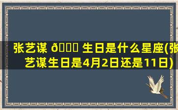 张艺谋 🐋 生日是什么星座(张艺谋生日是4月2日还是11日)